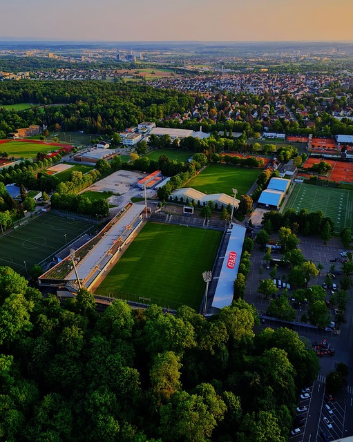 切爾西的球 切爾西的球