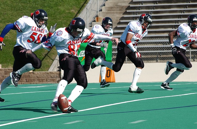 球队的整体 球队的整体