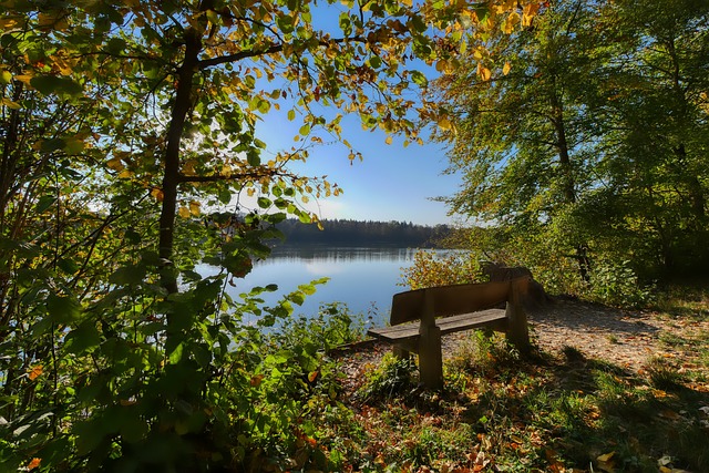 的信任是极 的信任是极